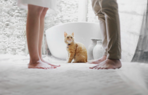 不倫相手に会えなくてつらい?彼の本音を確かめる3つの方法